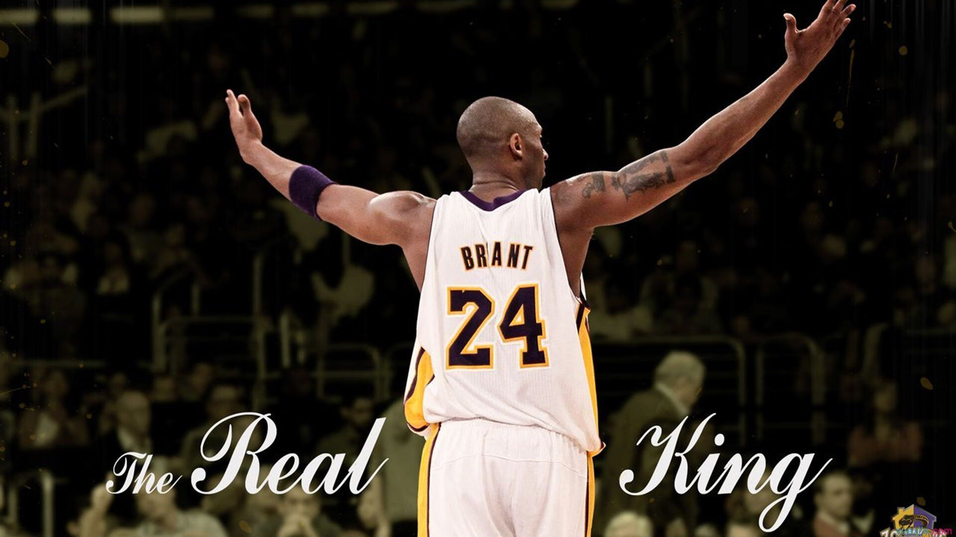 九游中国官网-_多夫特带领奇才逆转战局_，多特莱万多夫斯基