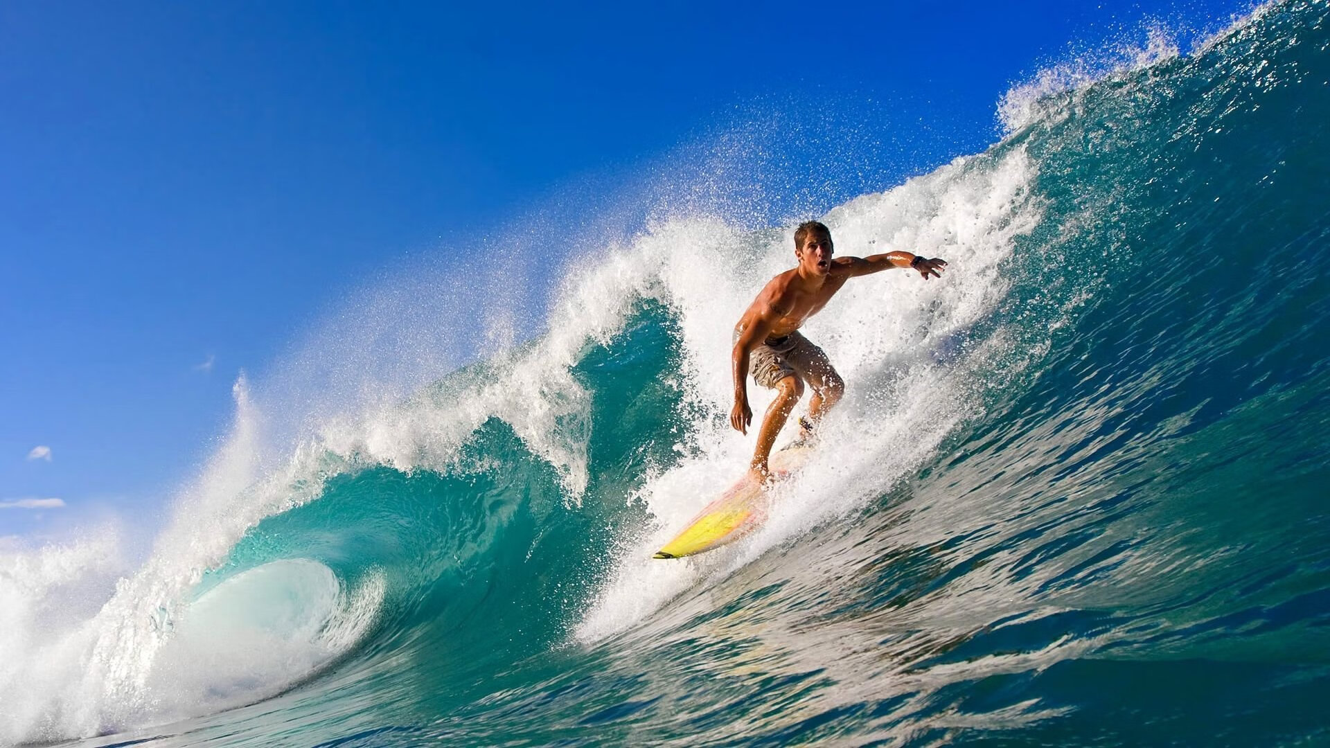 纪录打破者：今年谁有望超越“历史大师”？，打破 纪录