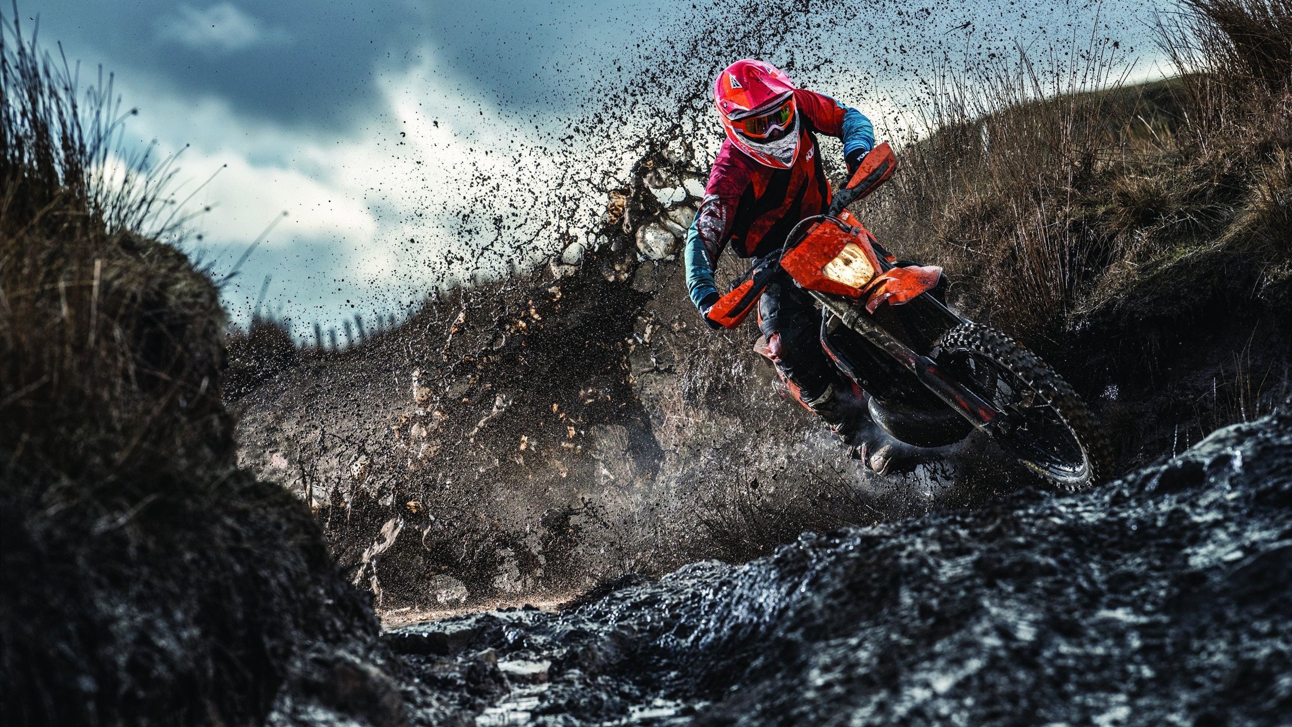 葡萄牙骑手吉尔贝托·费利佩在2024年全国工作马术锦标赛中以“Morante”马匹获得大师组铜牌，表现出色。